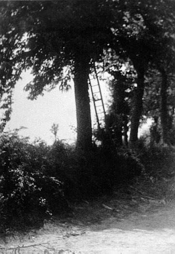 Ladder used by a German sniper